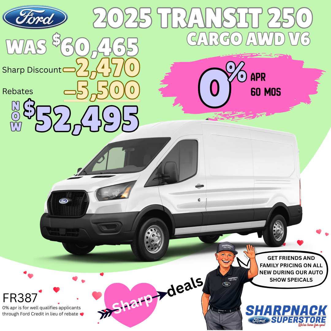 Transit Cargo 250